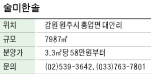 술미한솔, 계곡형 저수지 인접한 전원주택용 부지