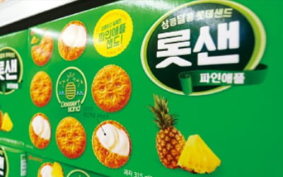 라면 이어 과자값도…롯데제과 12% 인상