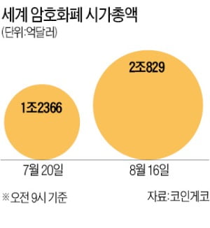 거래소 줄폐쇄 우려에 당황한 정부…"원화거래 안하면 영업 허용"