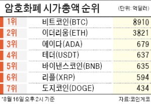 알트코인 다시 '불장'…이더리움 한달새 70% 급등