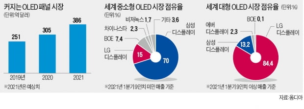 LGD, '삼성 텃밭' 중소형 OLED에 3.3兆 투자