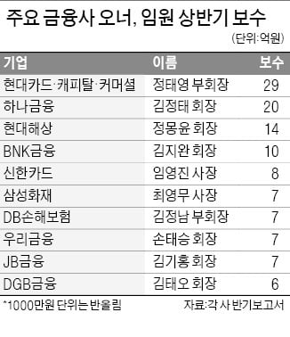 정태영 29억 '금융권 연봉 1위'