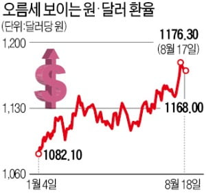 기재부 "환율 상승은 오버슈팅"…7거래일 만에 하락 전환