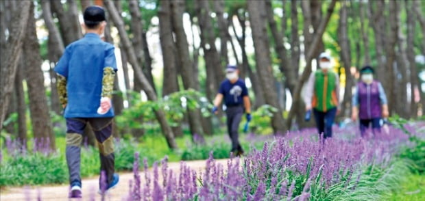 [포토] 처서, 긴팔 입고 산책