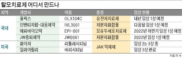 유전자·줄기세포 활용…탈모 치료 '새바람'