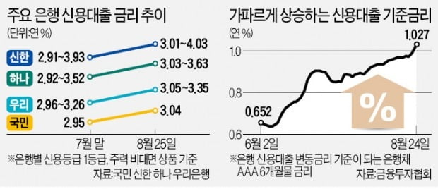 年2%대 신용대출 사라졌다…농협은행 한도 2억→1억 축소