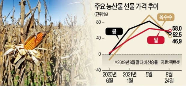 지독한 美 가뭄…주춤하던 농산물값 또 뛴다