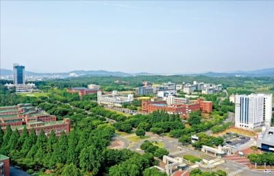 대구대학교, 문화예술학부·군사학과·반려동물산업학과 신설