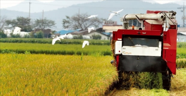 [포토] 부산서 첫 ‘가을 결실’