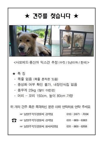 "그 개가 그 개 맞나"…남양주 살인견 사건 '개 신원' 논쟁