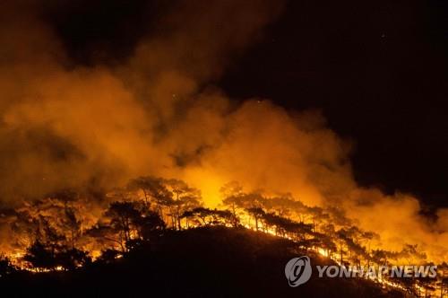 터키, 엿새째 대규모 산불과 사투…EU도 항공기 지원