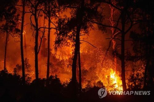 터키, 엿새째 대규모 산불과 사투…EU도 항공기 지원