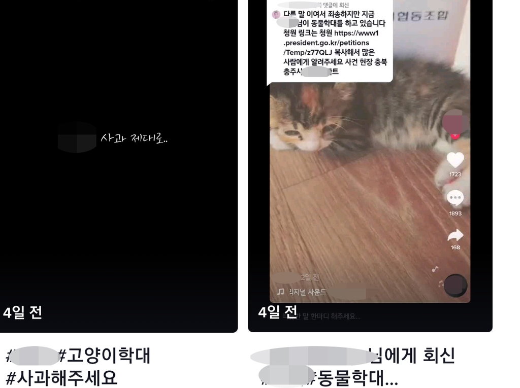 "고양이 학대·언니가 맞아요"…SNS 타고 번지는 오인신고 골치