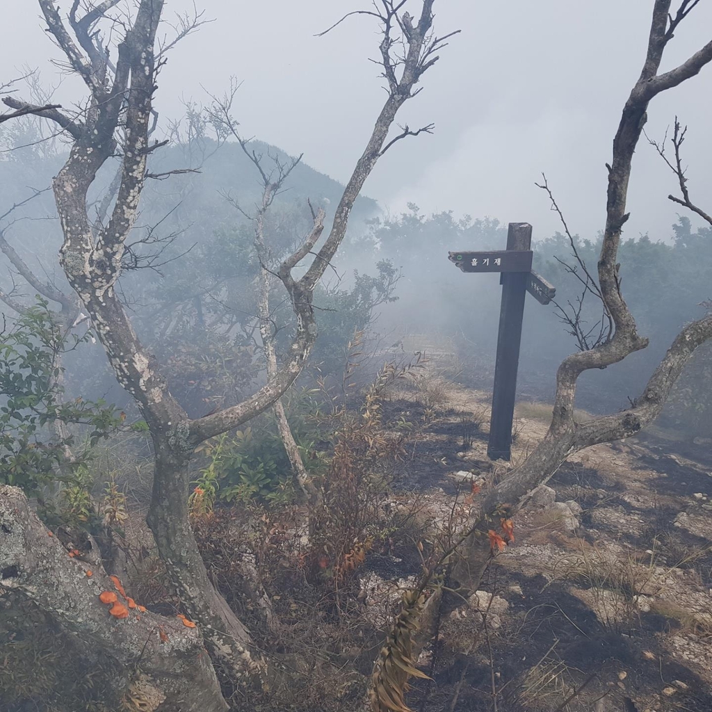 소방장비도 없는 서해 섬에 사흘 산불…주민들 "대책 절실"