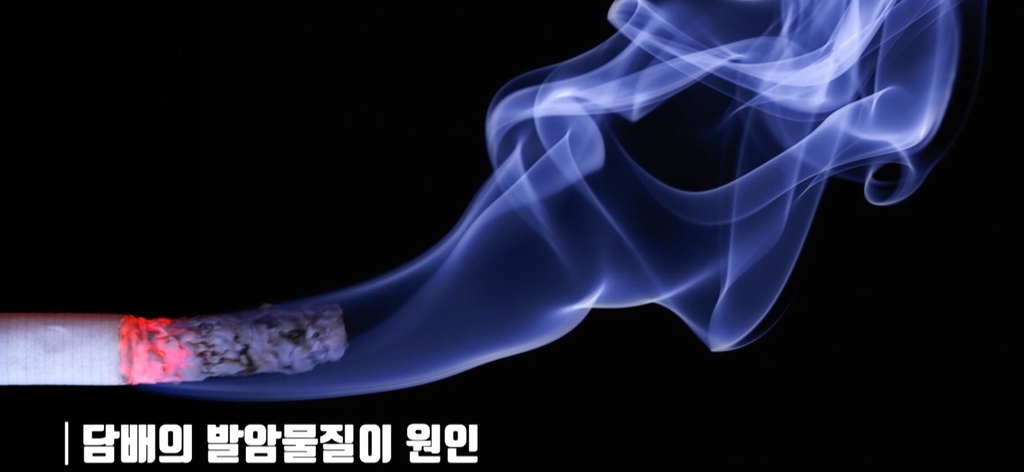 [김길원의 헬스노트] '암 사망률 1위' 폐암, 자각증상 땐 치료 늦는다