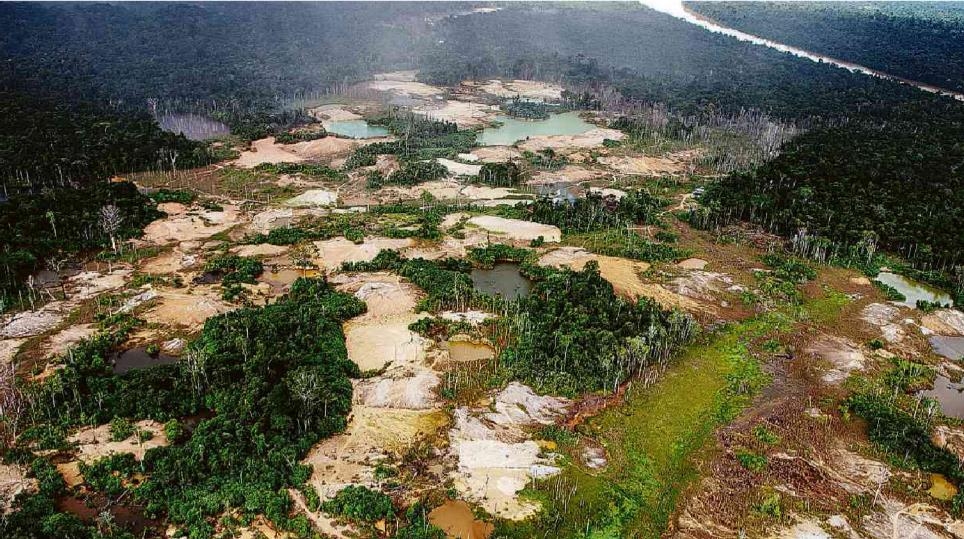 브라질 불법 금광 개발업자 급증…삼림 파괴·원주민 생존 위협