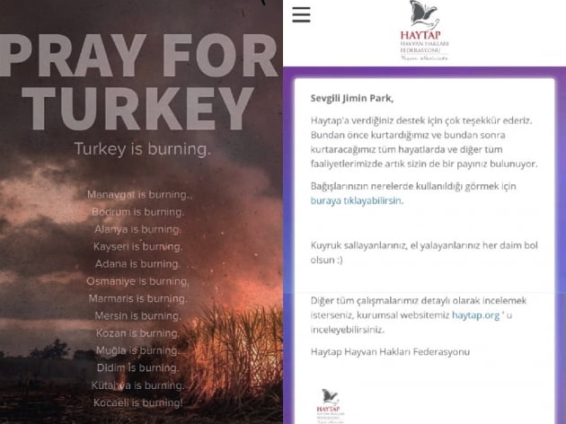 방탄소년단 지민, 미국팬덤 터키 산불 구호에 앞장...선한 영향력 세계에 전파