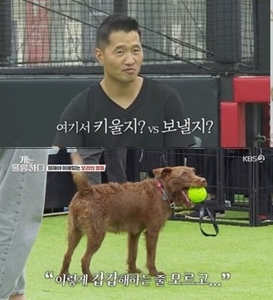 '개훌륭' 안락사 고민하던 광란의 犬 보리, 강형욱 훈련 후 안정 "괜찮은 개다" [종합]