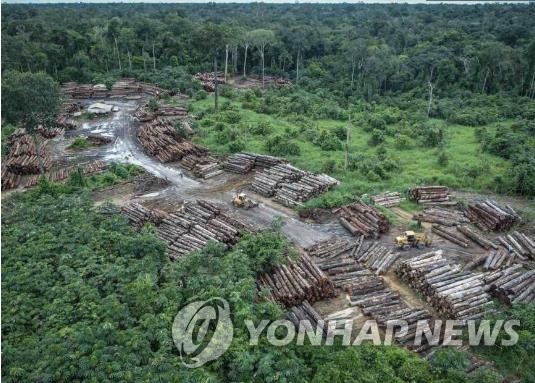 아마존 파괴 잇단 경고음…환경 NGO "파괴 면적 9년 만에 최대"