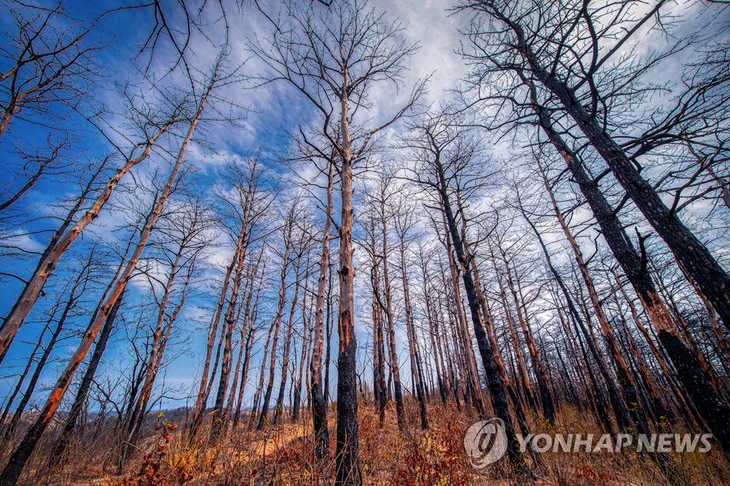 고성산불 4차 재판서 변호인 검찰 측 증거 조목조목 반박