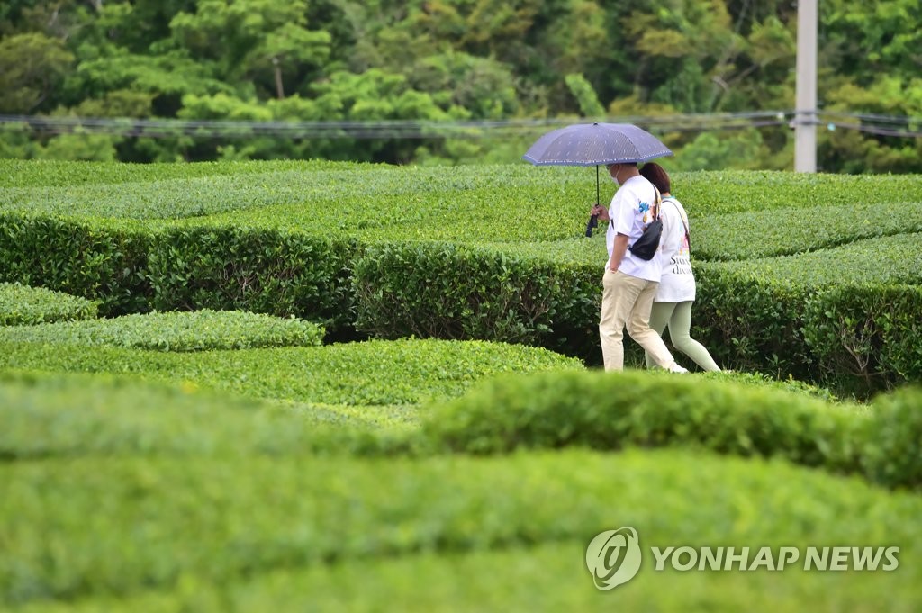 제주, 산지·북동부에 소나기…예상 강수량 5∼60㎜