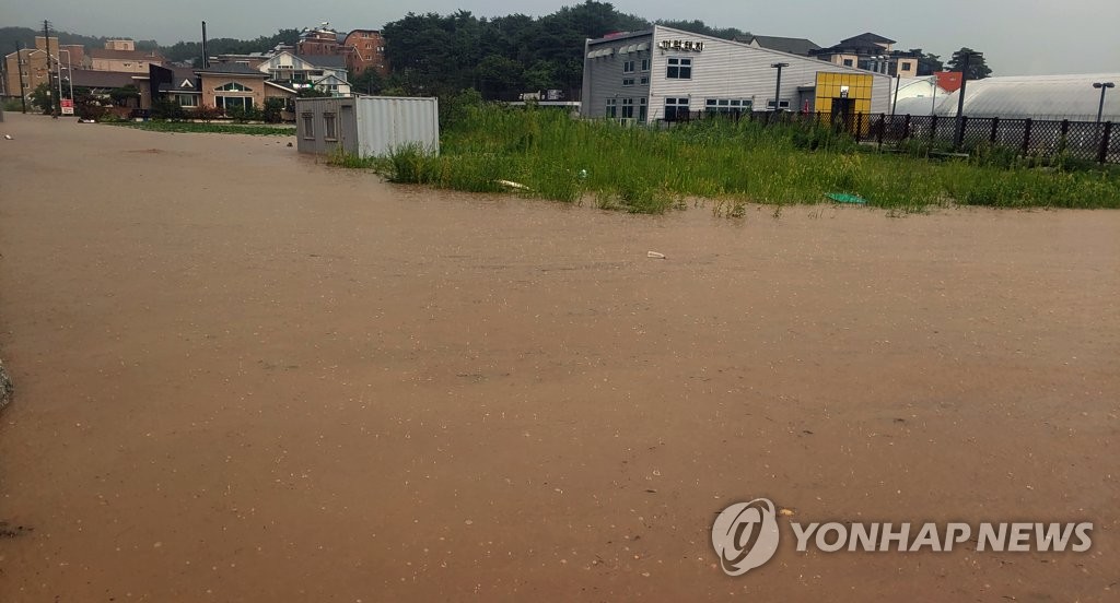 게릴라성 호우 쏟아진 강릉 출근길 물바다…도로 12곳 침수