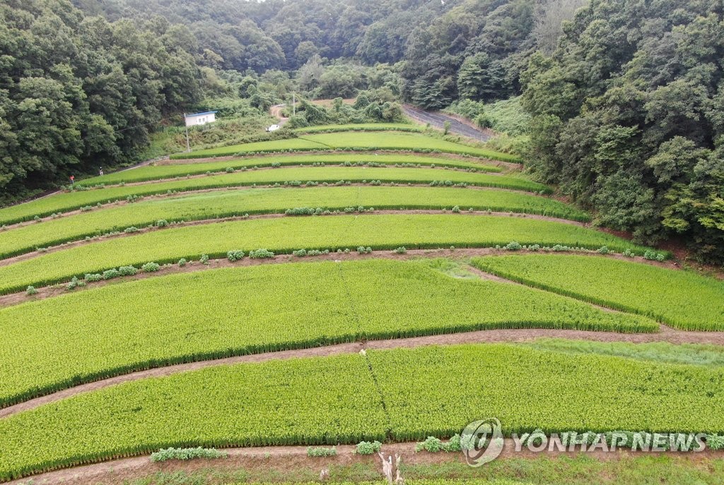 윤희숙 "벌거벗고 조사받겠다"…땅투기 의혹 수사의뢰(종합)