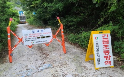 석달만에 또 아프리카돼지열병…삼겹살 값 더 오르나