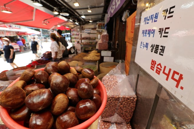 국민지원금, 추석 직전 지급 개시 /사진=연합뉴스