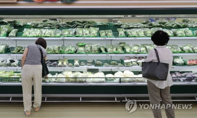 7월 물가 2.6%↑, 두달만에 다시 최고치…하반기엔 안정될까(종합2보)