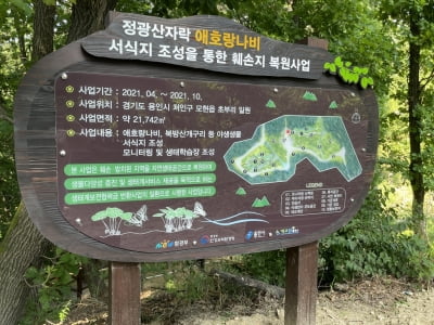 [용인소식] 정광산에 애호랑나비·북방산개구리 서식지 복원