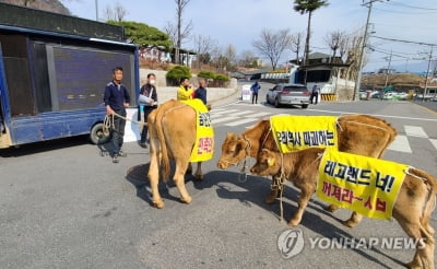 "레고랜드 반대" 애꿎은 청원경찰 들이받은 50대 징역형 집유