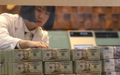 IMF 5번째 특별인출권 일반배분…"韓 외환보유액 117억달러↑"