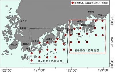 올해 남해안 멸치 어황 전망 밝아…7월 소형멸치 어획 증가