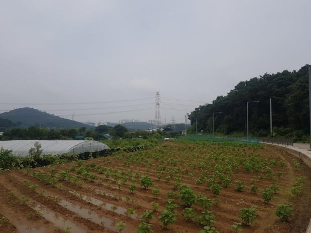 '의왕군포안산' 신규 택지지구 주민 기대감…"예상도 못했는데"