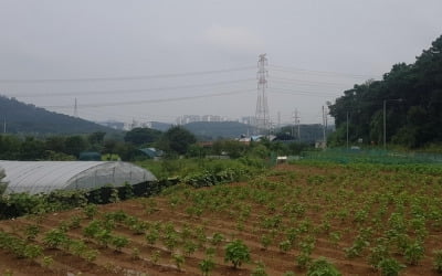 '의왕군포안산' 신규 택지지구 주민 기대감…"예상도 못했는데"