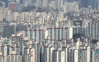 정부 경고대로 부동산 폭락해도…서울서 살아남을 곳은?