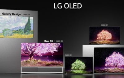 OLED 소재株, 하반기도 쾌속질주…"사상 최대 실적 전망"