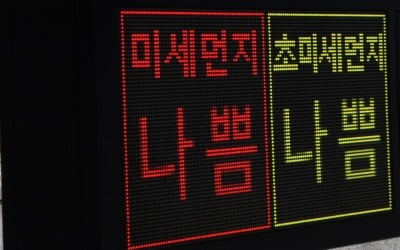 "같은곳 맞아?" 몰라보게 깨끗해졌다…코로나 봉쇄의 '역설'