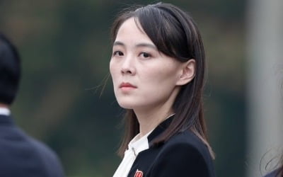 미 국무부, 김여정의 '남북정상회담' 거론에 "남북대화 지지"