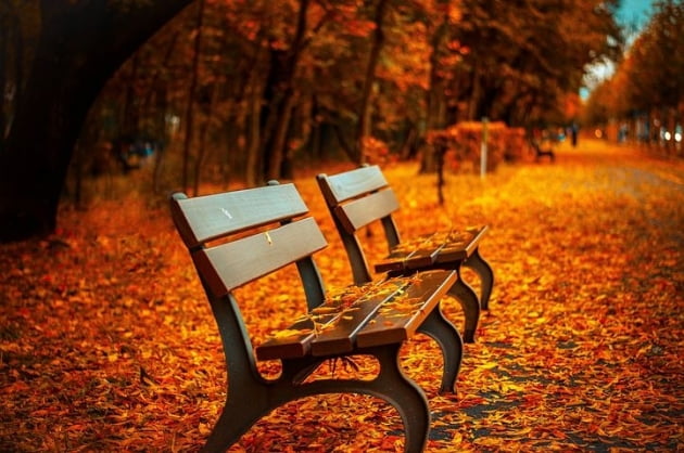 [영어, 문화를 만나다] '가을'이 전하는 영어