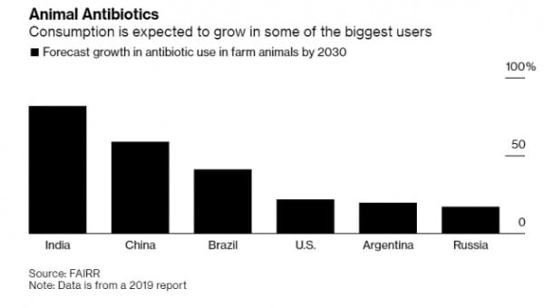 국가별 동물 항생제 사용량 증가율(2019년 대비 2030년) 전망치. 블룸버그 캡처