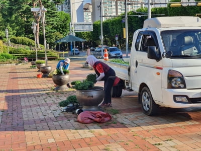 경기 군포시, 추석절 앞두고 지역 공원과 가로변 등 '대대적 환경정비 추진'