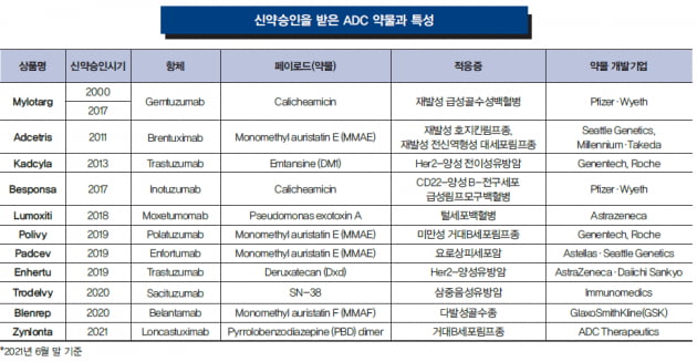 [Cover Story - OVERVIEW] 암세포에 선택적으로 약물 전달하는 마법의 탄환, ADC