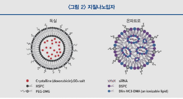 [Cover Story - OVERVIEW] 지질나노입자(LNP), 어떻게 발전할까