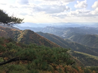 산림청, 9월의 국유림 명품숲 영월 ‘태화산 경관숲’ 선정