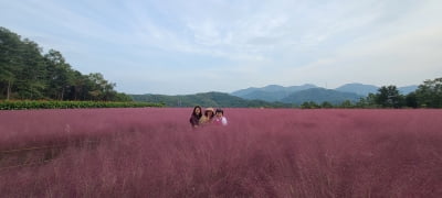 국내 최대 관광농원 '허브아일랜드', 오는 11월10일까지 '2021년 사진공모전' 진행