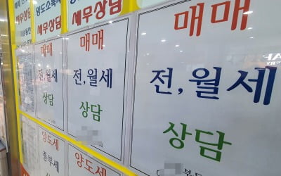 "세금 낼 돈 필요해서"…월세 1000만원 이상 계약 늘었다