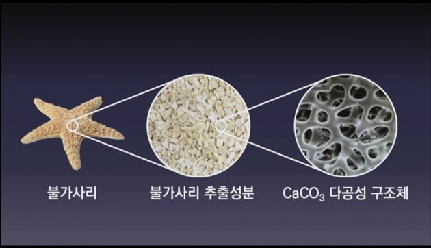 '환경파괴범' 불가사리로 만든 제설제…착한기술에 투자 강화