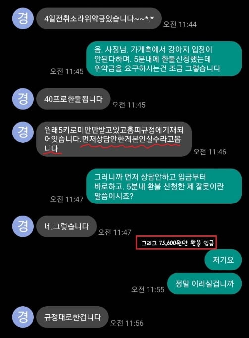 경주펜션 논란 확산…"아줌마 아니고 사장님!" 과거 글 재조명